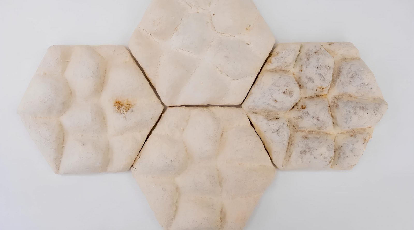 plitki-iz-gribov-vdohnovivshis-kozhej-slonov