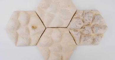 plitki-iz-gribov-vdohnovivshis-kozhej-slonov