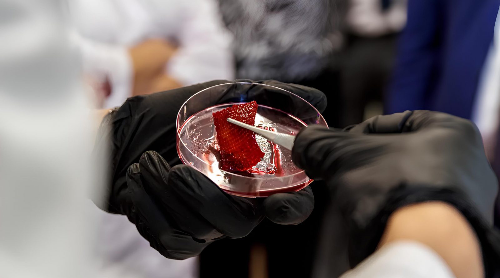 tehnologiya-pechati-poleznogo-myasa