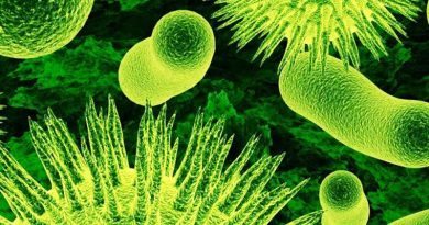 вирус | источник: eektimes/Блог IBM