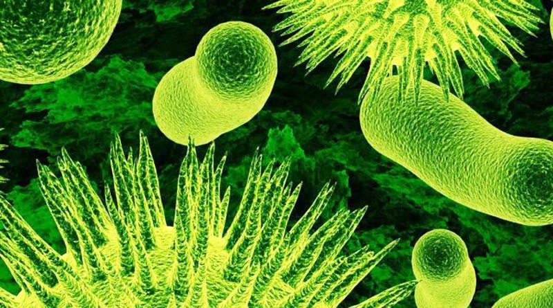 вирус | источник: eektimes/Блог IBM