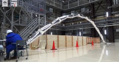 Giacometti Arm with Balloon Body