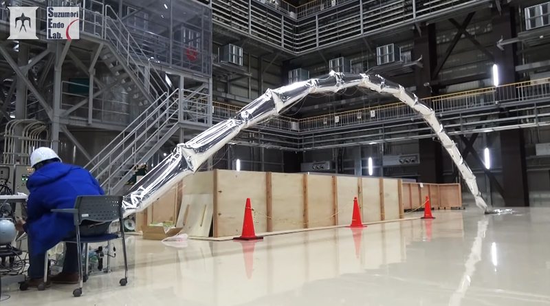 Giacometti Arm with Balloon Body