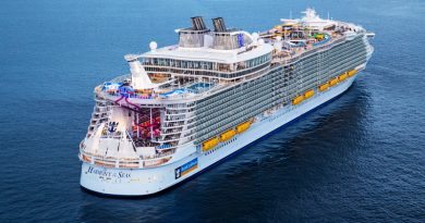 Круизный лайнер Harmony of the Seas -- чудо-товары