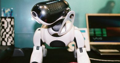 Aibo | Фото: projectdesign.jp