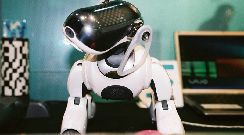 Aibo | Фото: projectdesign.jp
