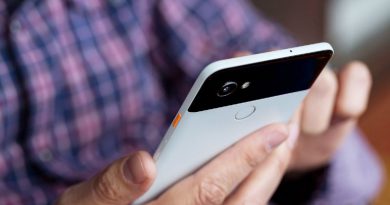 Google Pixel 2 | Фото: theverge.com