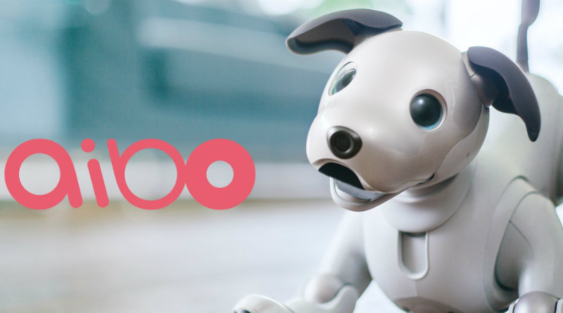 Aibo | Фото: Sony