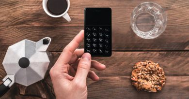 NichePhone-S | Фото: theverge.com