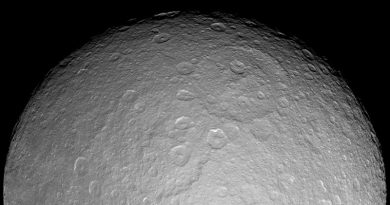 Рея | Фото: NASA