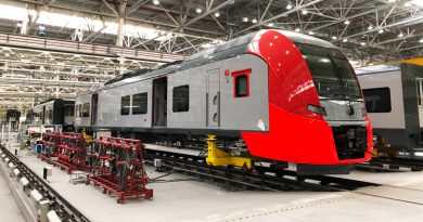 Ласточка | Фото: chudo.tech