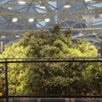 Amazon The Spheres | Фото: http://www.heraldnet.com