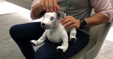 Sony Aibo | Фото: Mashable