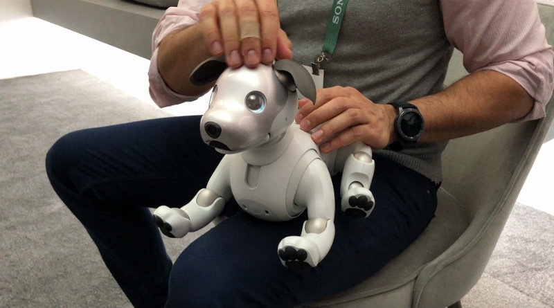 Sony Aibo | Фото: Mashable