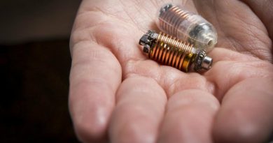 Капсула для кишечника | Фото: Engadget