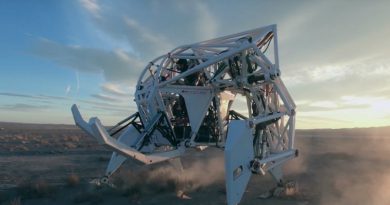 Prosthesis | Фото: Furrion