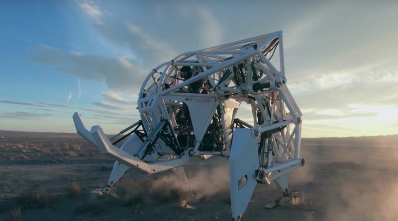 Prosthesis | Фото: Furrion