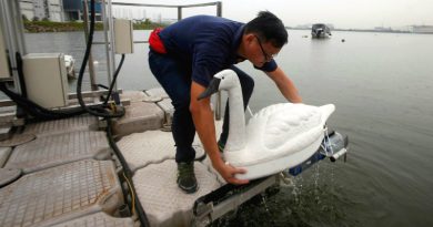 Робот-лебедь | Фото: cloudfront.net