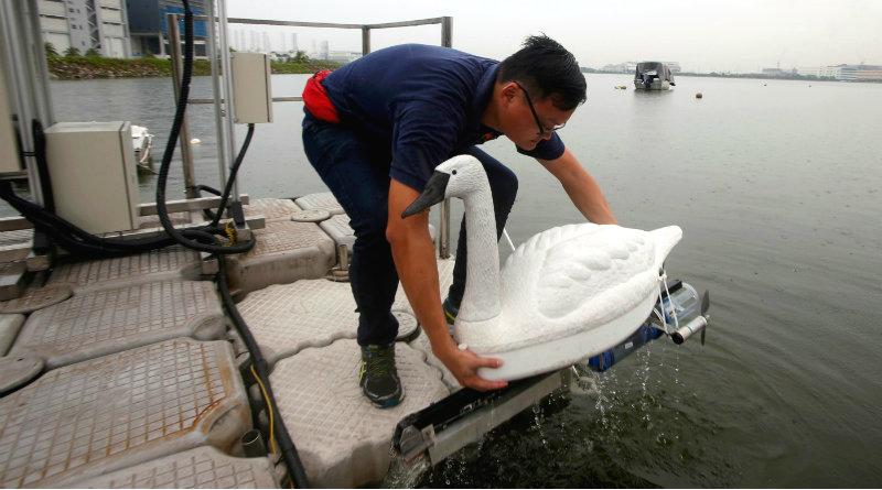 Робот-лебедь | Фото: cloudfront.net