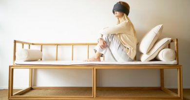 Dreamlight | Фото: IndieGoGo