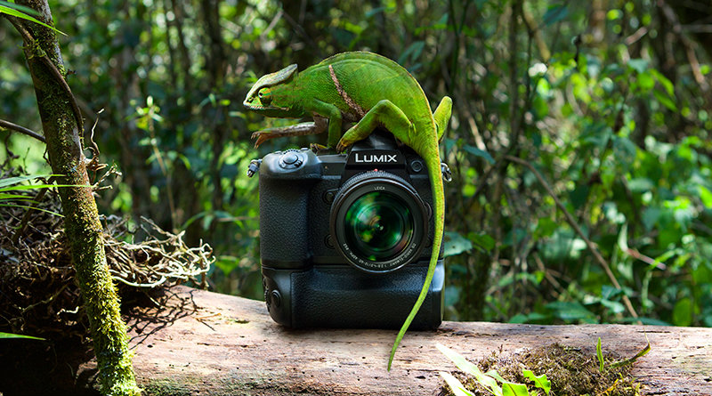 Panasonic G9 | Фото: Panasonic