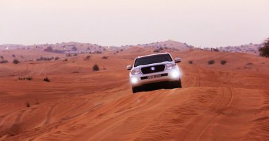 Дубай | Фото: motor.ru