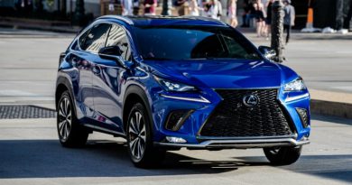 Lexus NX | Фото: Lexus