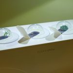 Сlick & Grow | Фото: Chudo.tech