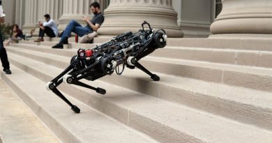 Cheetah | Фото: hipertextual