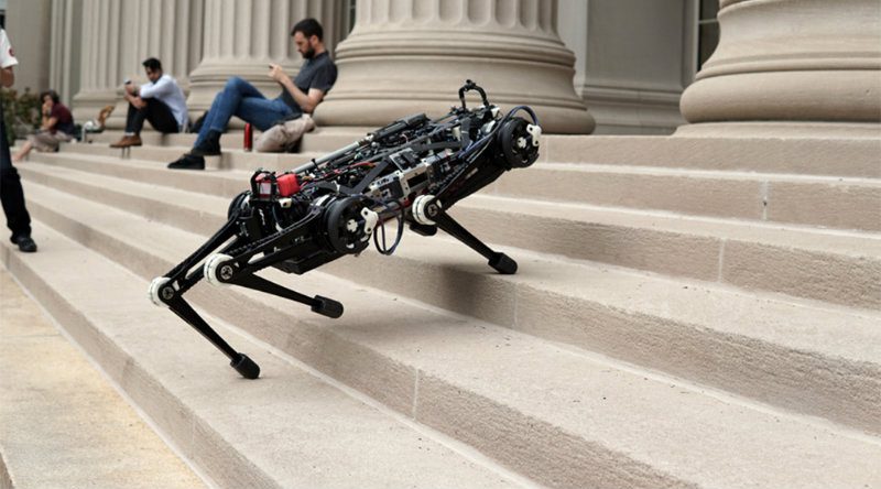 Cheetah | Фото: hipertextual