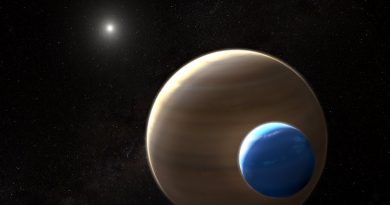 Экзолуна | Фото: NASA