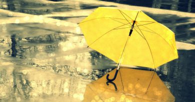 Зонт | Фото: https://frazy.su