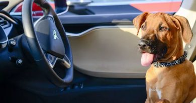 Tesla | Фото: motor.ru