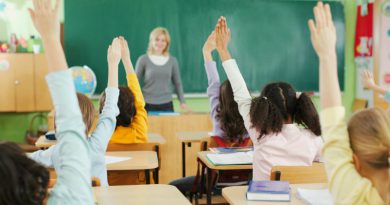 Школа | Фото: illibraio