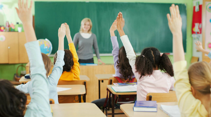 Школа | Фото: illibraio