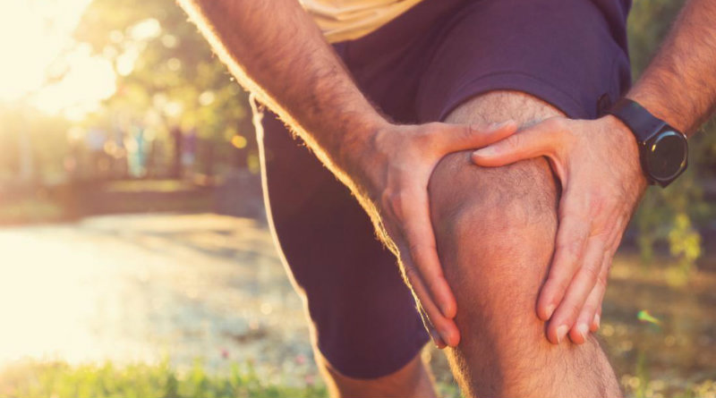 Фото: Твой Айболит