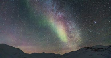 Фото: pxhere.com