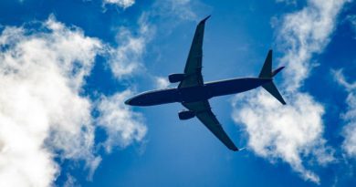 Самолет | Фото: modscheats