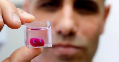 Напечатанное сердце | Фото: AFP news agency