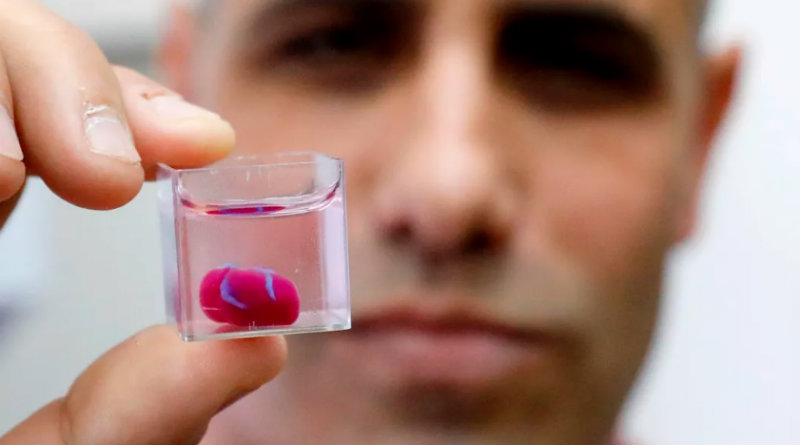 Напечатанное сердце | Фото: AFP news agency