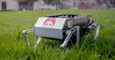 Doggo | Фото: stanford