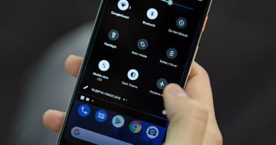 Android 10 Q | Фото: The Verge