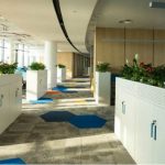 vivo4-e1557201469662