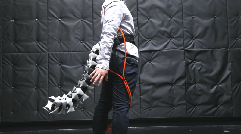 Arque хвост | Фото: https://myamens.com/