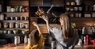 Вытяжка Hansa