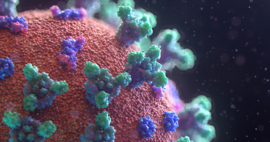 Photo by Fusion Medical Animation on Unsplash