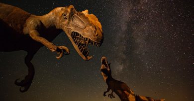 Photo by Stephen Leonardi on Unsplash