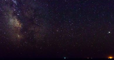 Photo by Arti Kh on Unsplash