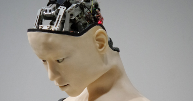 Photo by Franck V. on Unsplash