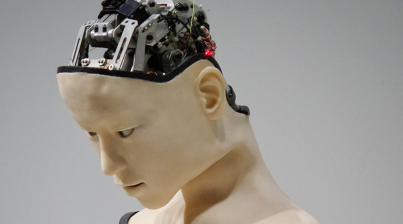 Photo by Franck V. on Unsplash